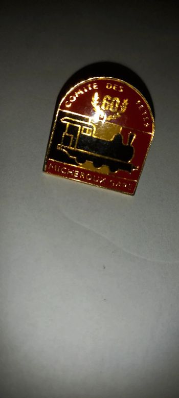 Pin's micheroux gare