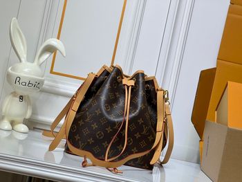Louis Ⅴuitton  M42224