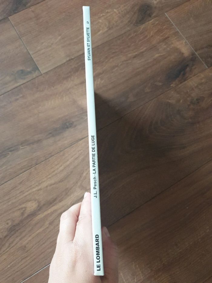 Bande dessinée Sylvain et Sylvette La partie de luge - photo numéro 2