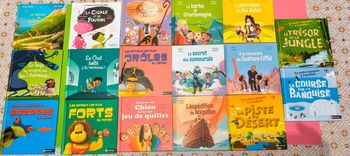 Lot de 17 livres