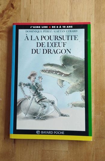 Livre enfant A la poursuite de l'œuf de dragon