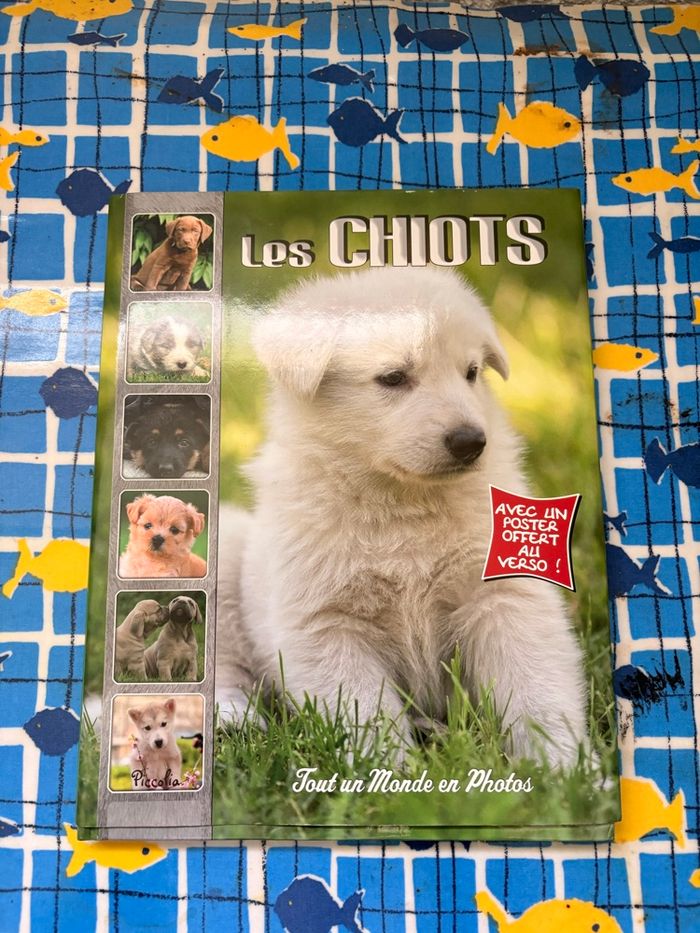 Livre enfants Les chiots – éducatif – très bon état” - photo numéro 1