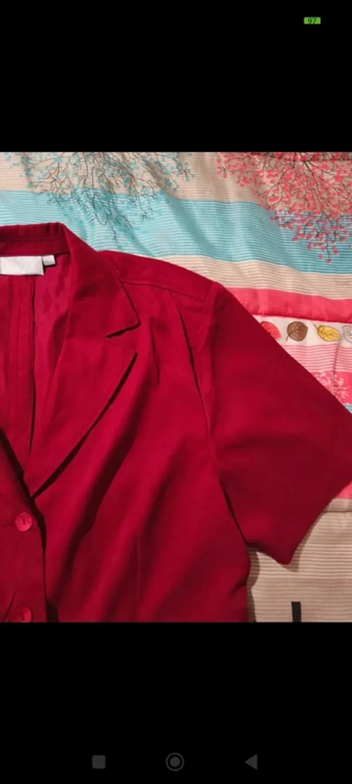 Veste Diane Laury T 46 - photo numéro 5