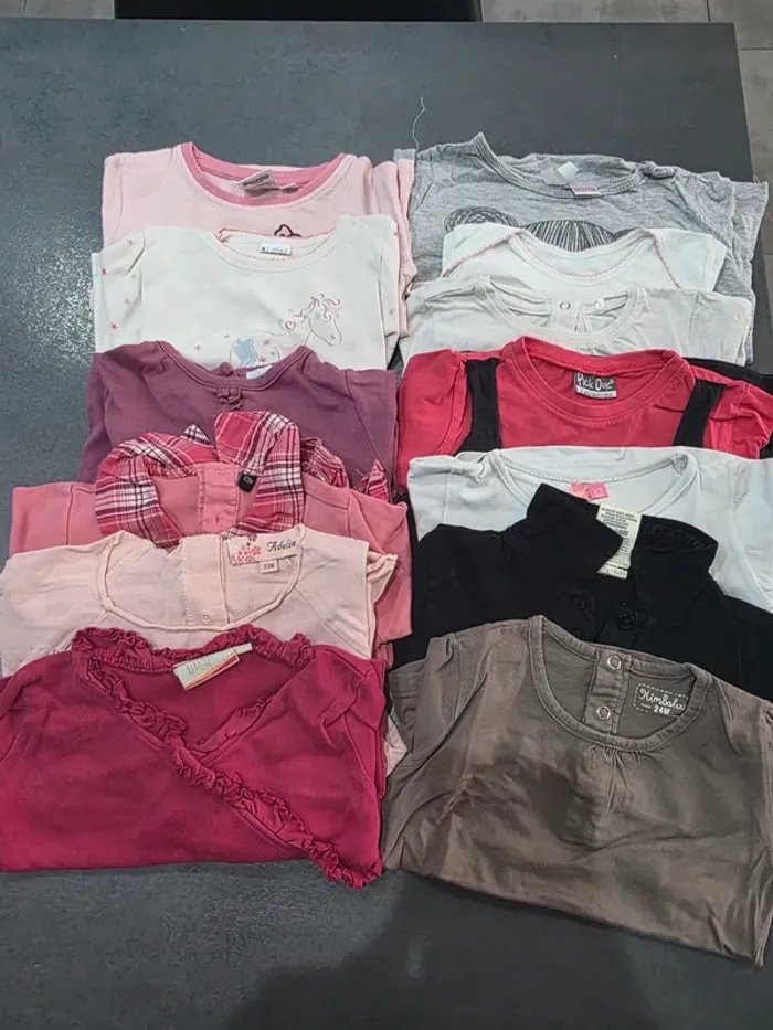 Lot manches longues 2 ans - photo numéro 2