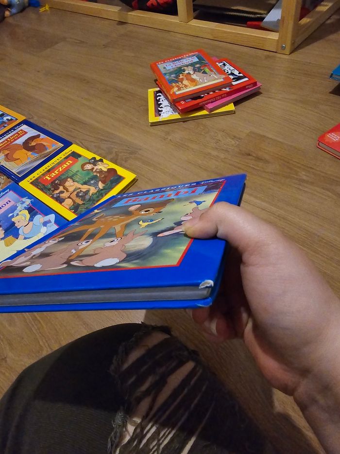 Livre disney - photo numéro 2