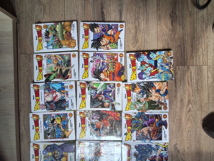 Livre sangoku - photo numéro 2