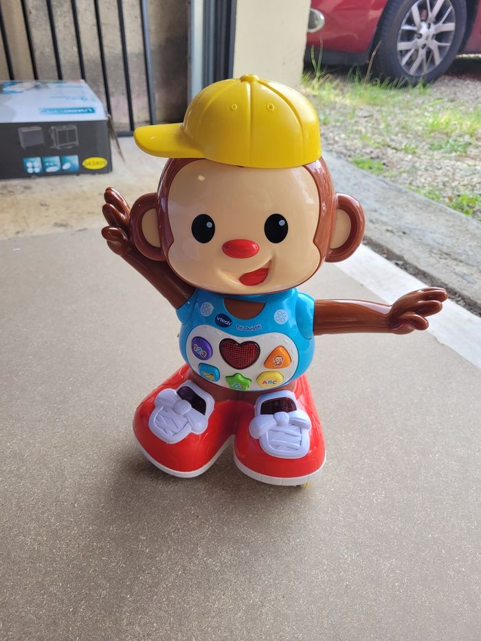 Titi ouistiti - photo numéro 2