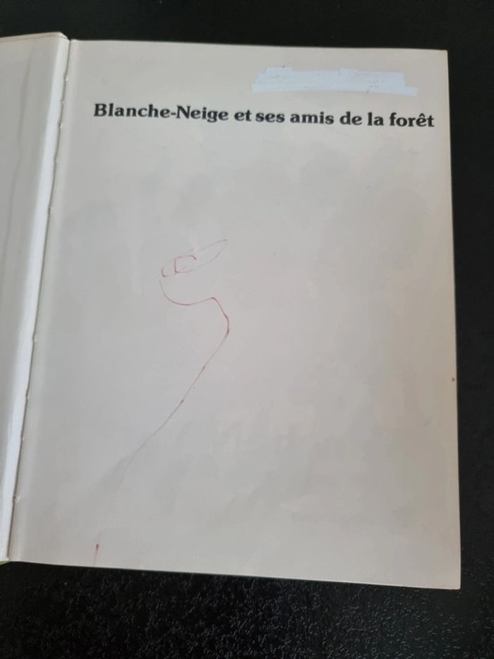 Lot de 2 livres anciens Disney - photo numéro 12