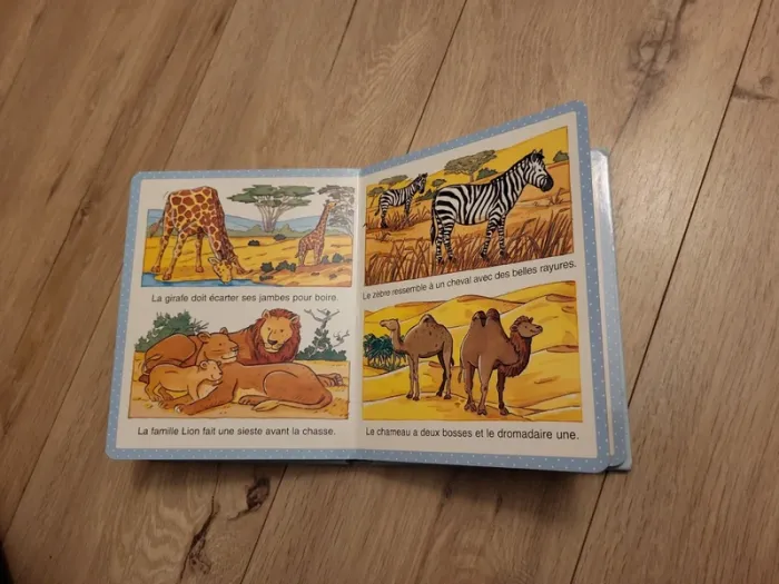 Livre imagier - photo numéro 6