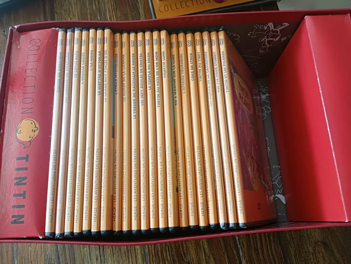 Collection DVD TINTIN