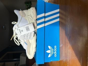 Adidas Ozweego Beige Taille 40