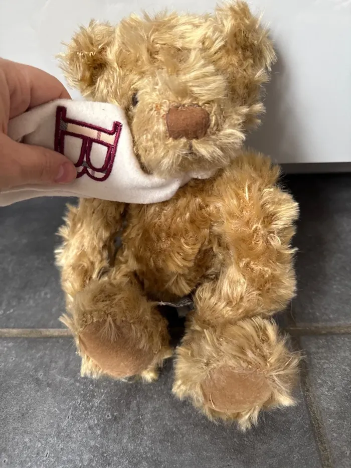 Nounours peluche - photo numéro 2