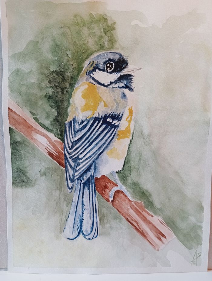 Mésange à l' aquarelle - photo numéro 2