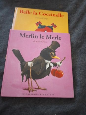Merlin le merle