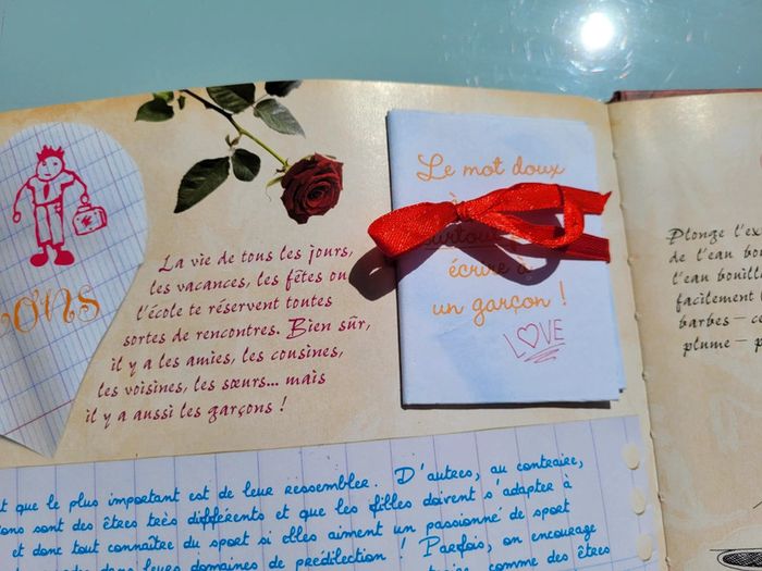 Livre d'activités Le Girls' Book, tout ce qu'elles adorent de 7 à 77 ans (39) - photo numéro 17