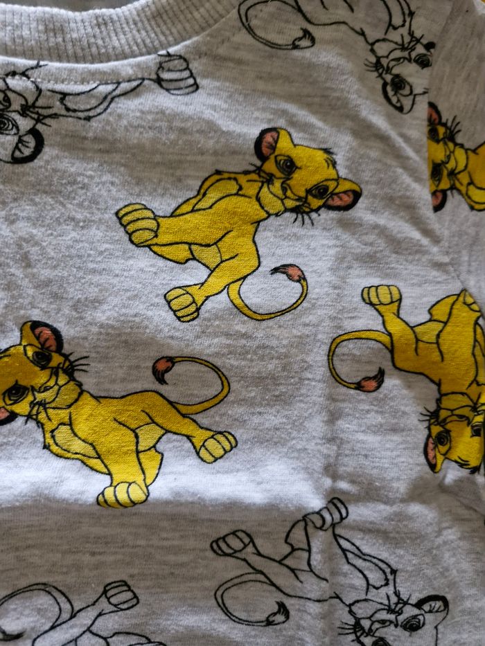 Lot roi lion - photo numéro 9