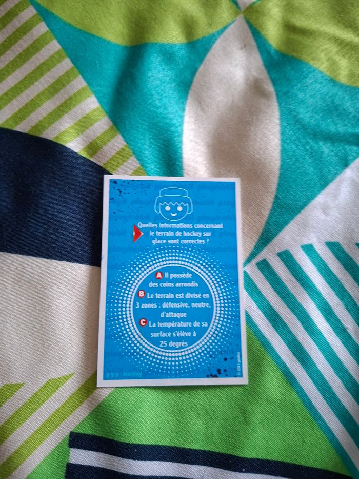 Carte playmobil roller & skate 73 - photo numéro 2