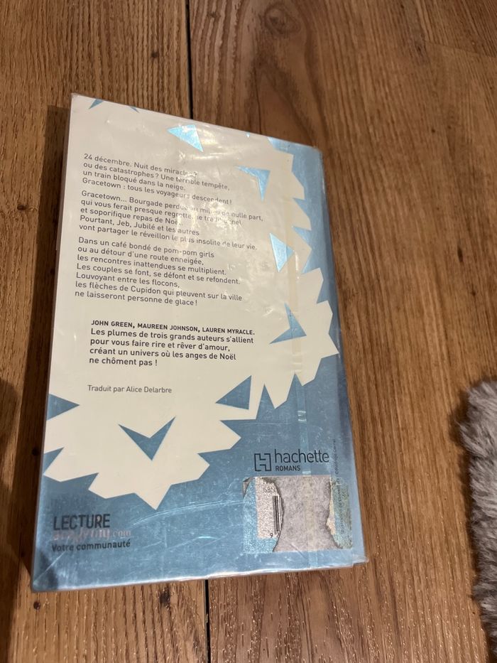 Flocons d’amour - photo numéro 2