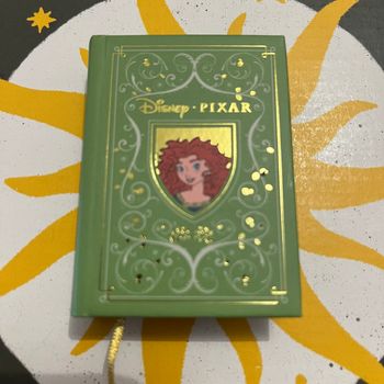 Livre Disney petit format 