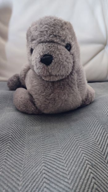 Peluche phoque gris