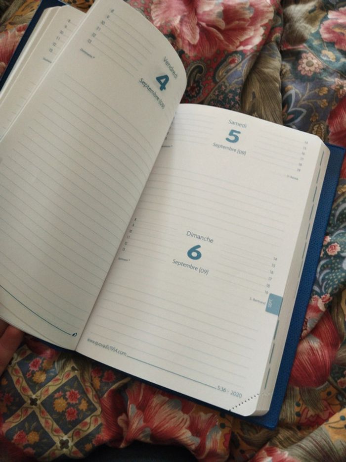 Carnet agenda quo vadis 2020 2021 - photo numéro 3