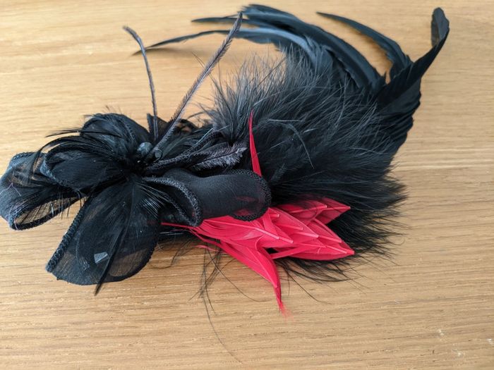 Pince plumes noires et rouges - photo numéro 3
