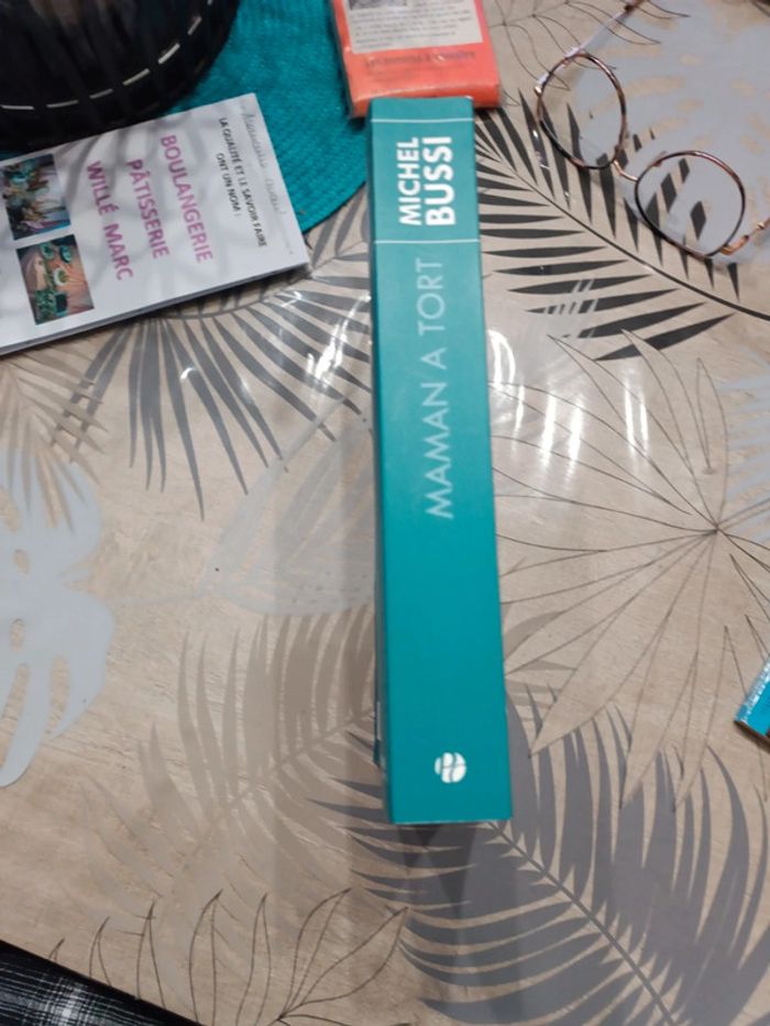 Livre maman a tort - photo numéro 3