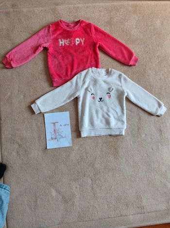 Lot de 2 sweats en maille peluche chine 4 ans Gémo