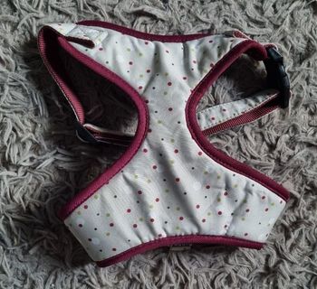 Harnais pour chien vert pastel et violet à pois taille M