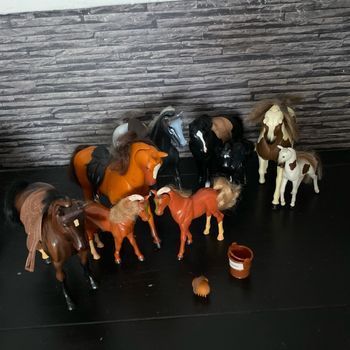 Lot de 9 chevaux dans l’état