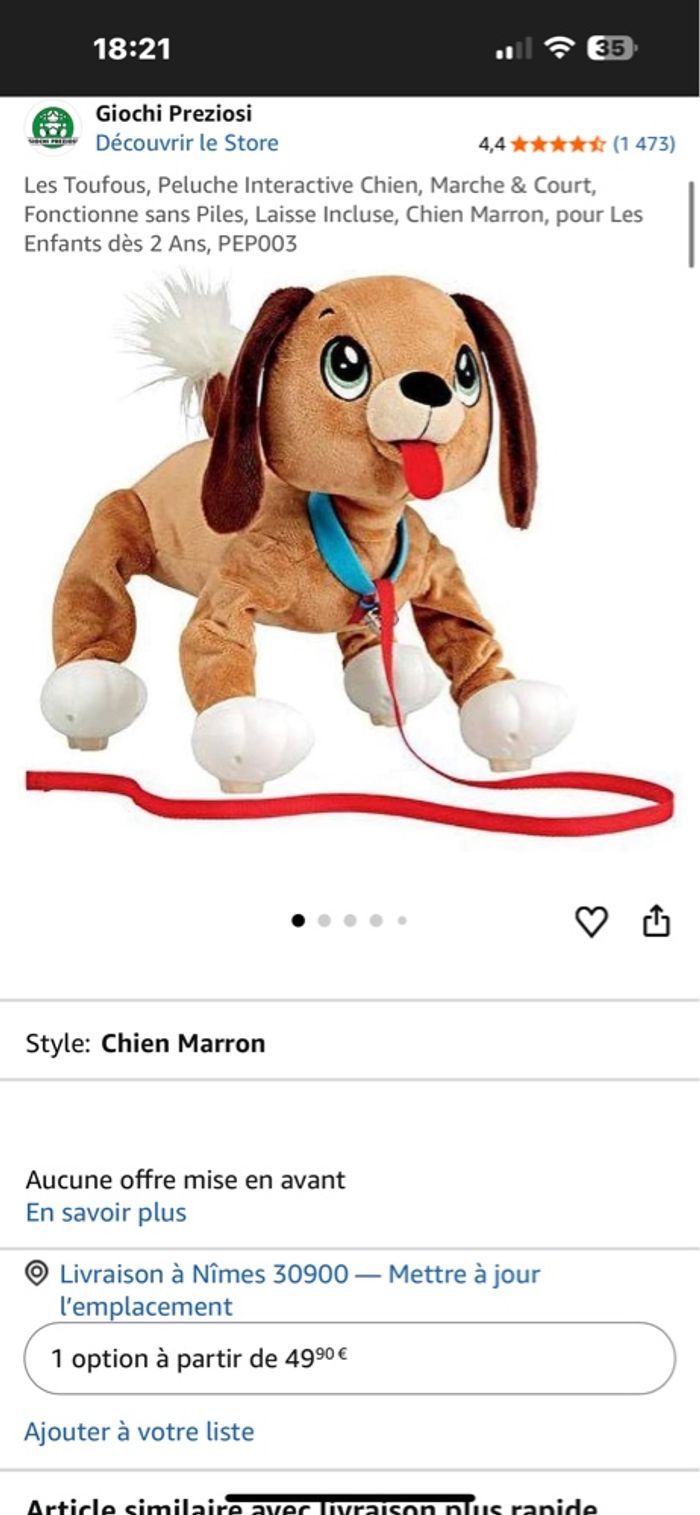 Toufou le chien qui marche sans pile