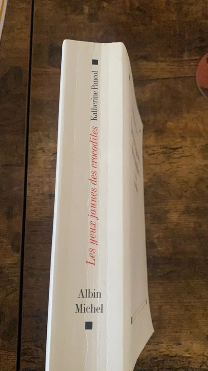 les yeux jaunes des crocodiles - photo numéro 3