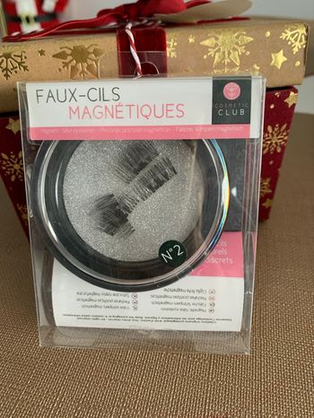 Faux cils magnétiques