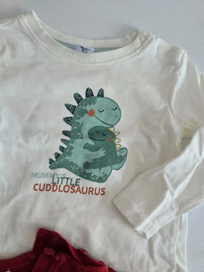 Lot de 2 tee shirts manches longues - photo numéro 3