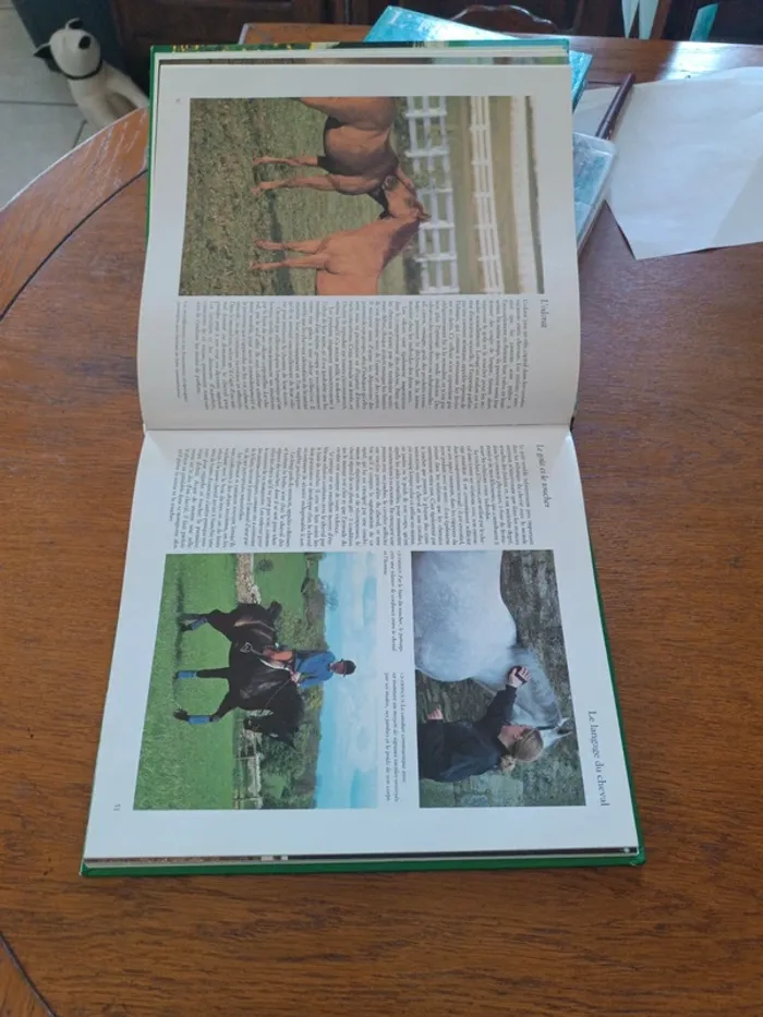 Le royaume des chevaux - photo numéro 4
