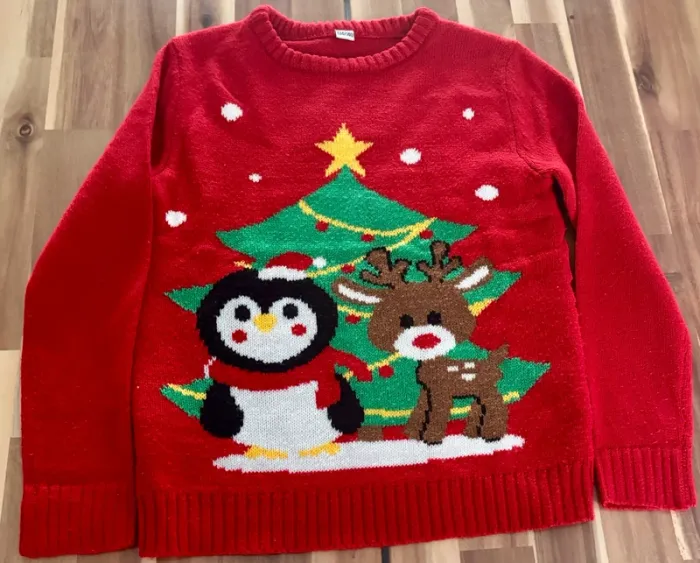 Pull Noël