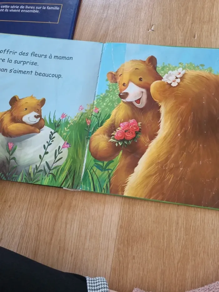 Lot livre papa et maman - photo numéro 6