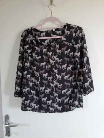 Blouse zèbres