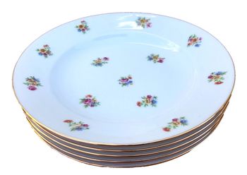 5 assiettes creuses anciennes  Porcelaine P.N France