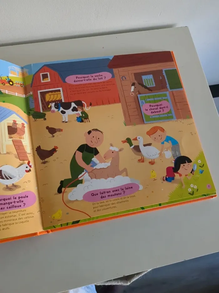 Livre kididoc des animaux - photo numéro 4