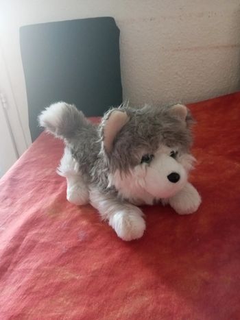 Chien Husky, marque Nounours