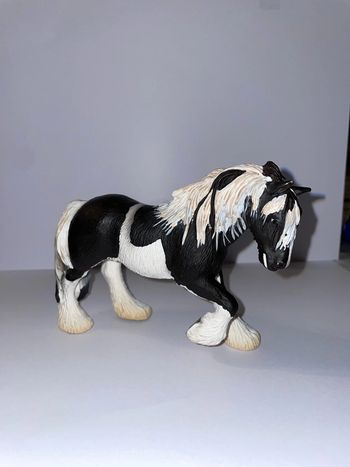 Cheval Tinker mare