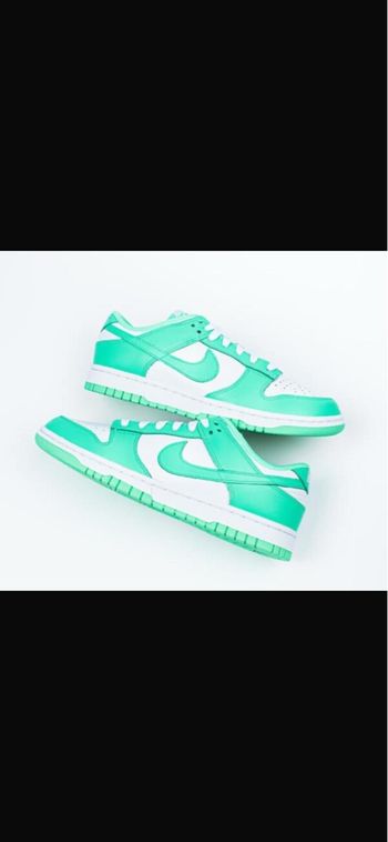 Dunk taille 43
