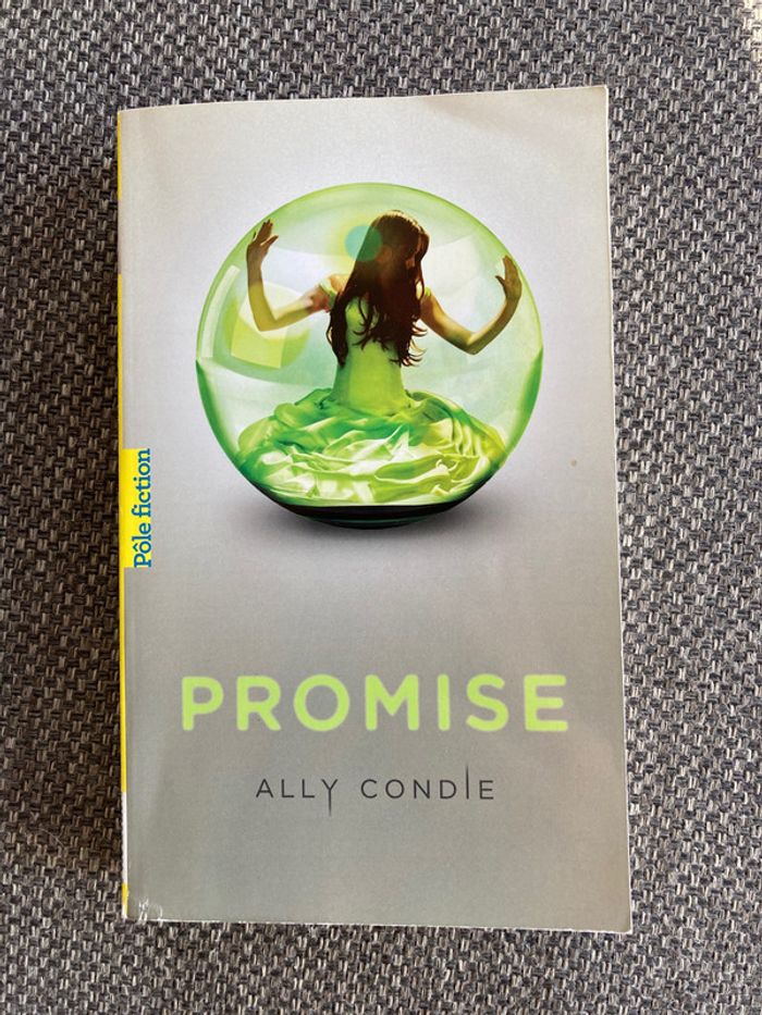 Livre promise