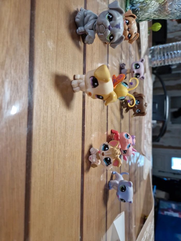 Lot petshop (7) - photo numéro 9