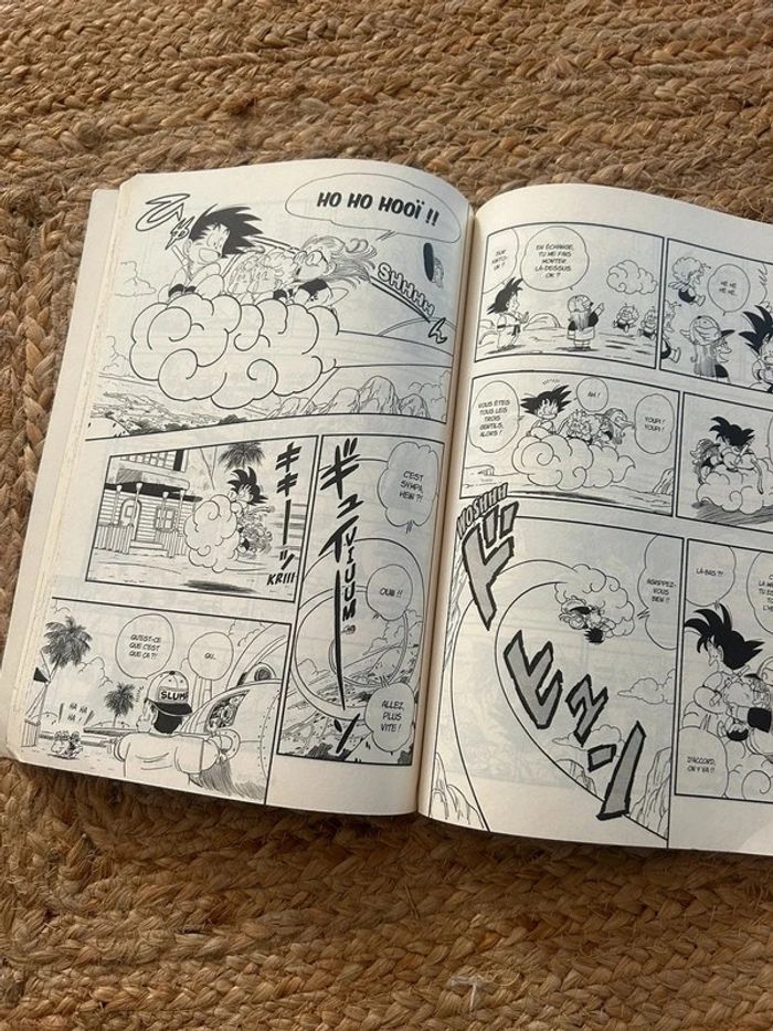 Livre 📚Édition collector dragon ball - photo numéro 7