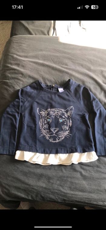 Pull tigre