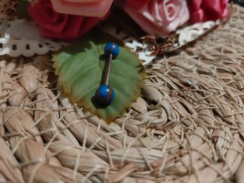 🍂Piercing langue bleu et orange🍂