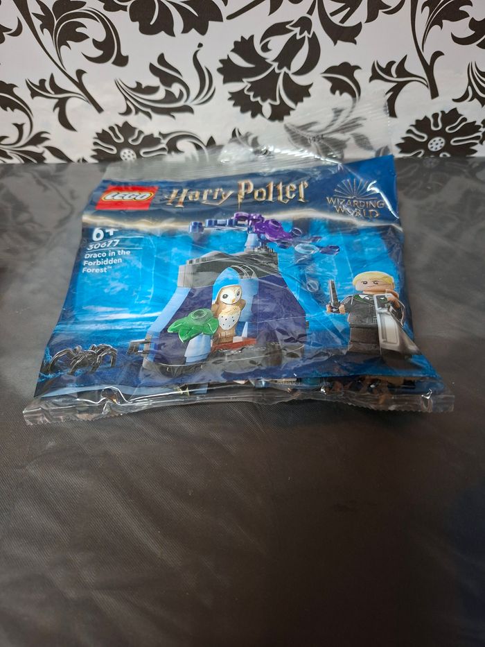 Lego harry potter  30677 drago malfoy dans la forêt interdite - photo numéro 5