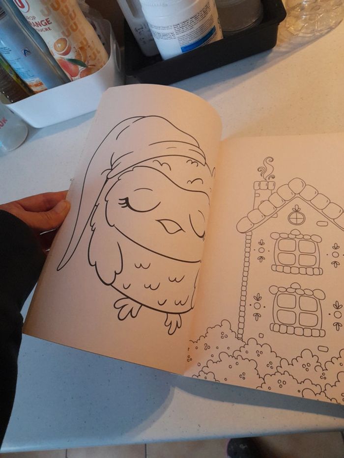 Gros livre de coloriage - photo numéro 5
